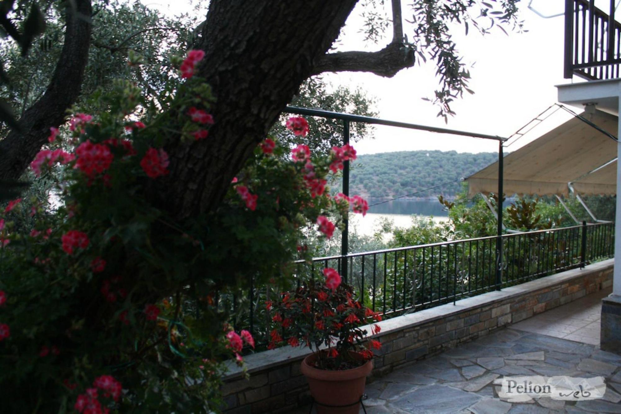 Violetta Studios & Apartments Milina Room photo